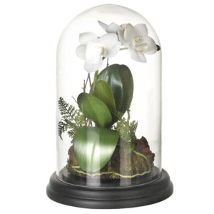 Faux Orchid in Dome