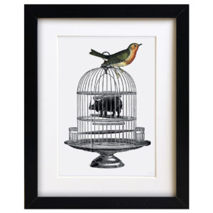 quirky birdcage art print